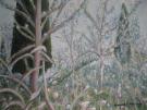 Uncultivated Tuscany